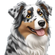 Blue Merle Australian Shepherd sticker