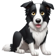 Border collie sticker