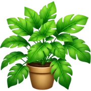 plant sticker
