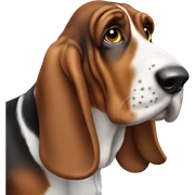 Basset hound sticker