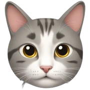 Gatos sticker
