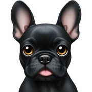 Solid black Frenchie puppu sticker