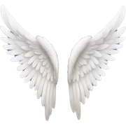 one pair of angel wings  sticker