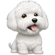 bichon frise, white fur, dog sticker