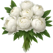 White peonies bouquet  sticker