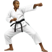 Karate sticker