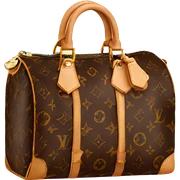 louis vuitton sticker