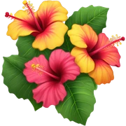 Hibiscus bouquet  sticker