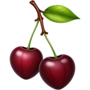 Black cherry  sticker