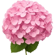 Pink hydrangea sticker