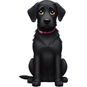 Black dog  sticker