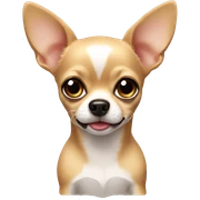 Chihuahua cute face sticker