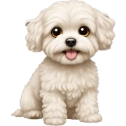 Maltipoo sticker