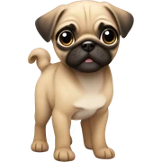 Fawn pug puppy  sticker