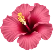 hibiscus flower sticker