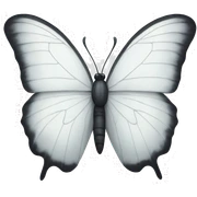 White butterfly  sticker