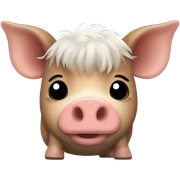Kune kune pig sticker