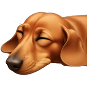 Dachshund sleeping sticker