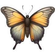 Butterfly  sticker