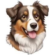 Australian shepard sticker