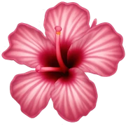 hibiskus flower sticker