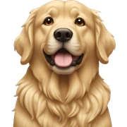 golden sticker
