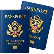 passport sticker