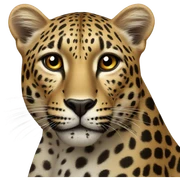 Leopard  sticker