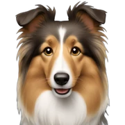 Sheltie sticker