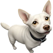 realistic portrait of a collar pet sticker