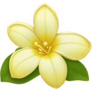 Yellow jasmine blossom flower sticker
