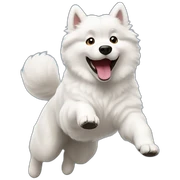 samoyed jumping sticker