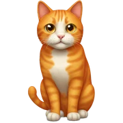 orange cat  sticker