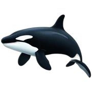orca sticker