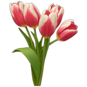 Tulips sticker