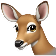 doe sticker