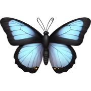 Black butterfly  sticker