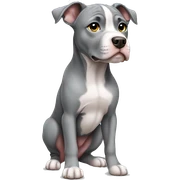 Gray Pitbull puppy standing sticker
