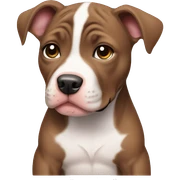 pitbull Puppy sticker