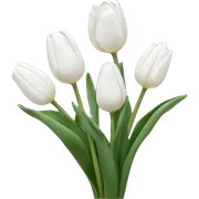 White tulips sticker