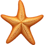 Starfish sticker