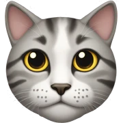 Cat sticker