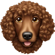 Brown dog curly  sticker