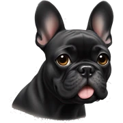 Black French bulldog  sticker