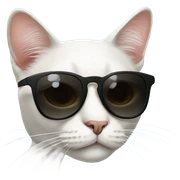 Cat with sunglasses sticker