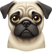 Pug sticker