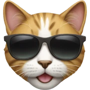 Cat with sunglasses sticker