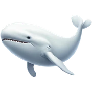 white whale , underside sticker