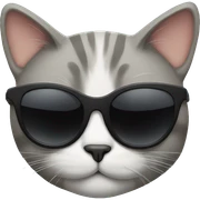Cat with sunglasses sticker