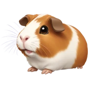 guinea pig sticker